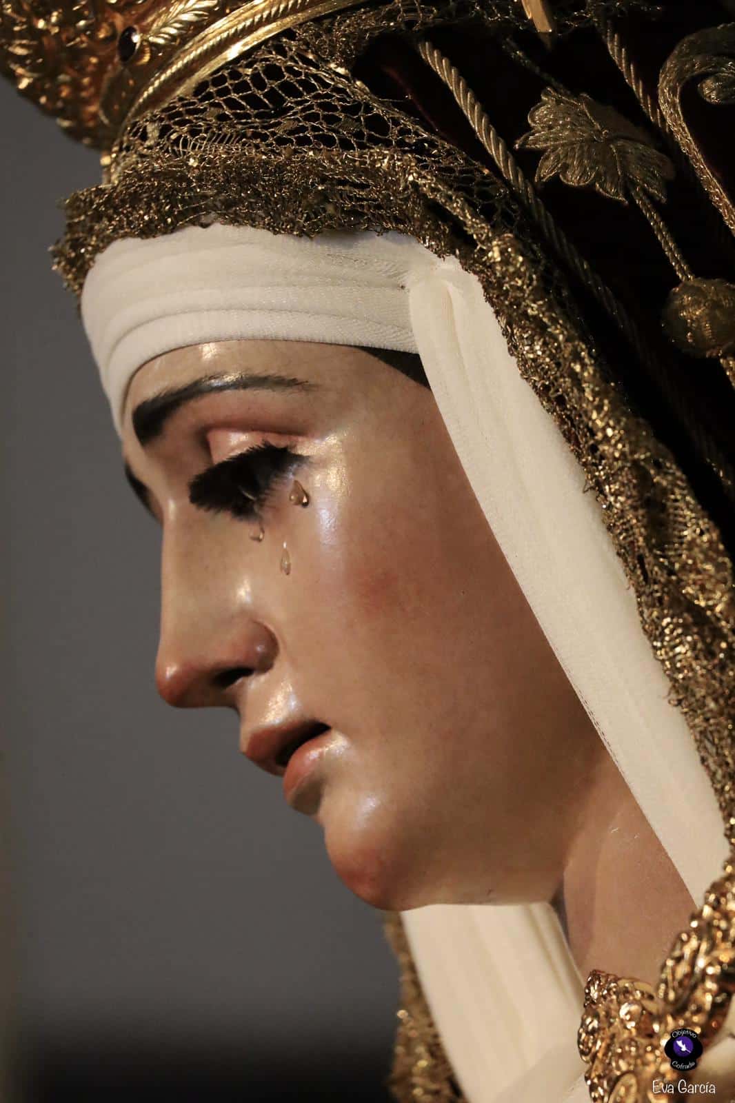 WhatsApp Image 2026-03-01 at 21.37.53 (1)